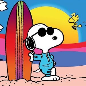 Meet your Posher, Janessa